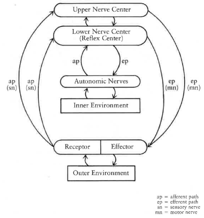 Fig20