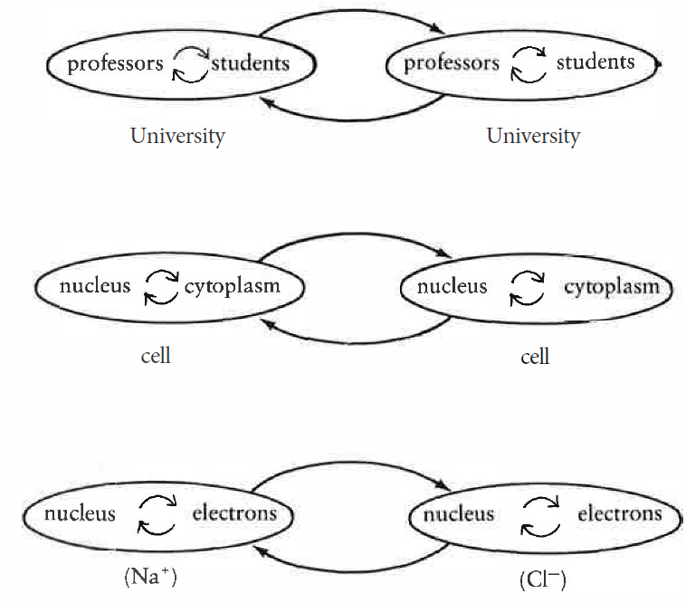 fig36